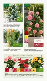 Pflanzen Kölle Prospekt woche 18 Seite 5