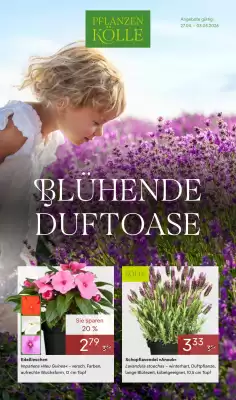 Pflanzen Kölle (gültig bis 4-05)