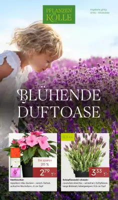 Pflanzen Kölle (gültig bis 4-05)