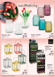 Selgros Prospekt woche 18 Seite 20