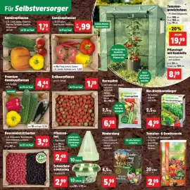 Thomas Philipps Prospekt woche 18 Seite 3