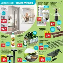 Thomas Philipps Prospekt woche 18 Seite 6