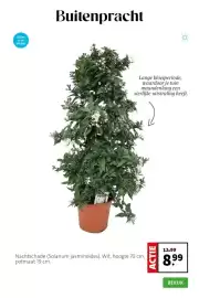 Intratuin folder week 18 Pagina 3