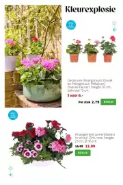 Intratuin folder week 18 Pagina 4