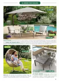 Volantino Florarici Pagina 11