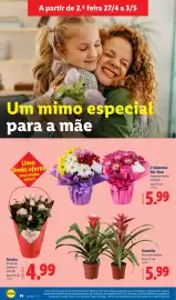 Folheto Lidl semana 18 Página 26