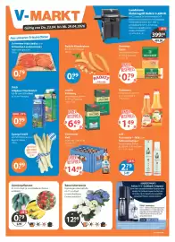 V Baumarkt Prospekt woche 17 Seite 1