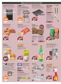 V Baumarkt Prospekt woche 17 Seite 16