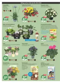 V Baumarkt Prospekt woche 17 Seite 22