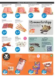 V Baumarkt Prospekt woche 17 Seite 3