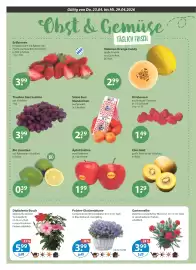 V Baumarkt Prospekt woche 17 Seite 4