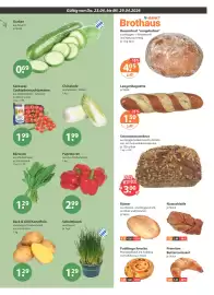 V Baumarkt Prospekt woche 17 Seite 5