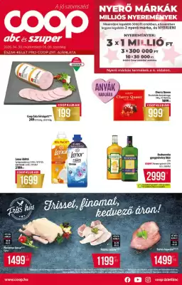Coop akciós újság (érvényes eddig: 6-05)