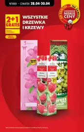 Biedronka gazetka Strona 2