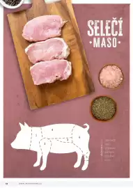 Jip leták Strana 54