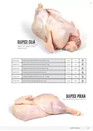Jip leták Strana 67