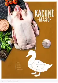 Jip leták Strana 72