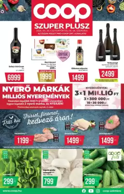 Coop akciós újság (érvényes eddig: 6-05)