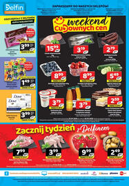 Delfin gazetka Strona 8