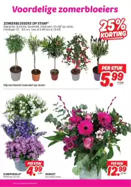Dekamarkt folder week 18 Pagina 25