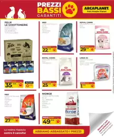 Volantino Arcaplanet Pagina 39