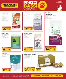 Volantino Arcaplanet Pagina 40