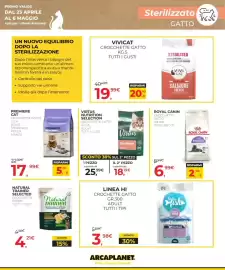 Volantino Arcaplanet Pagina 7