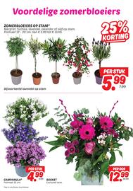 Dekamarkt folder Pagina 6