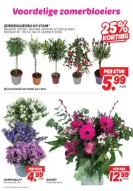 Dekamarkt folder Pagina 6