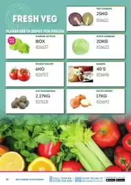 Bestway leaflet Page 14