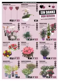 V Baumarkt Prospekt woche 18 Seite 2