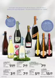 Selgros Prospekt Seite 15