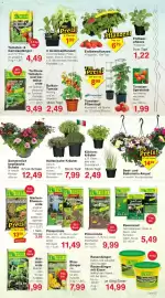 Jawoll Prospekt woche 18 Seite 11