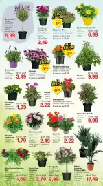 Jawoll Prospekt woche 18 Seite 6