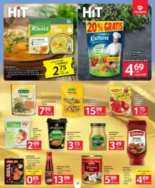 Selgros gazetka Strona 17