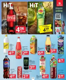 Selgros gazetka Strona 25
