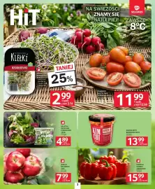 Selgros gazetka Strona 3