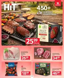 Selgros gazetka Strona 8