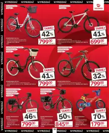 Selgros gazetka Strona 30