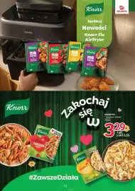 Selgros gazetka Strona 15