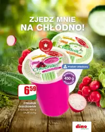 Dino gazetka Strona 1