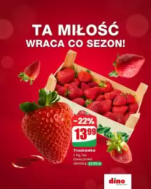 Dino gazetka Strona 5