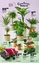 Netto gazetka tydzień 18 Strona 11