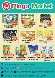Volantino Pingo Market Pagina 13