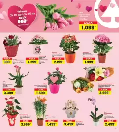 Interspar akciós újság hét 18 Oldal 3