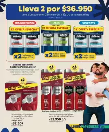 Catálogo Nova Venta Página 205