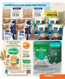 Catálogo Nova Venta Página 77
