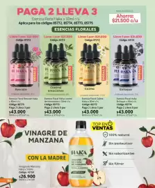Catálogo Nova Venta Página 94