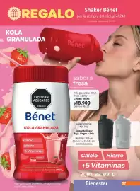 Catálogo Nova Venta Página 97