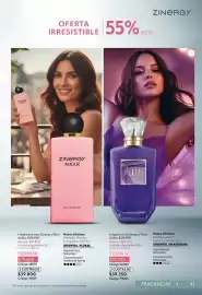 Catálogo Nova Venta Página 41